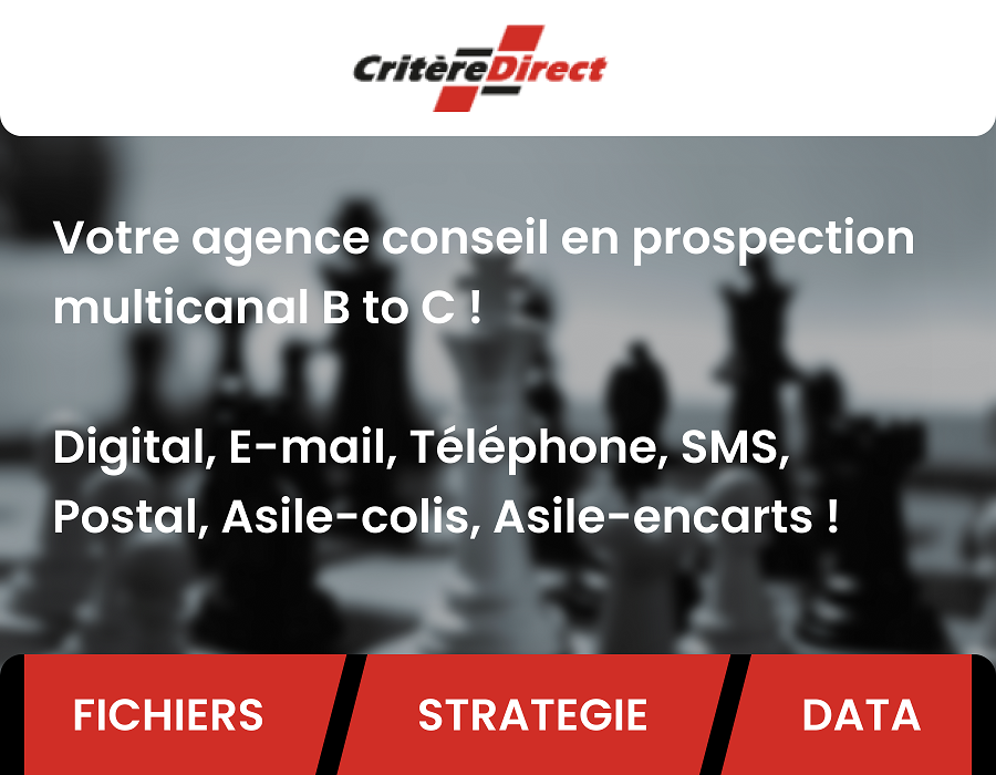 CRITERE DIRECT : Expert en stratégie de conquête multicanal.