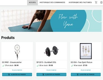 E-commerce : Le commerce en ligne désormais accessible aux TPE B2B