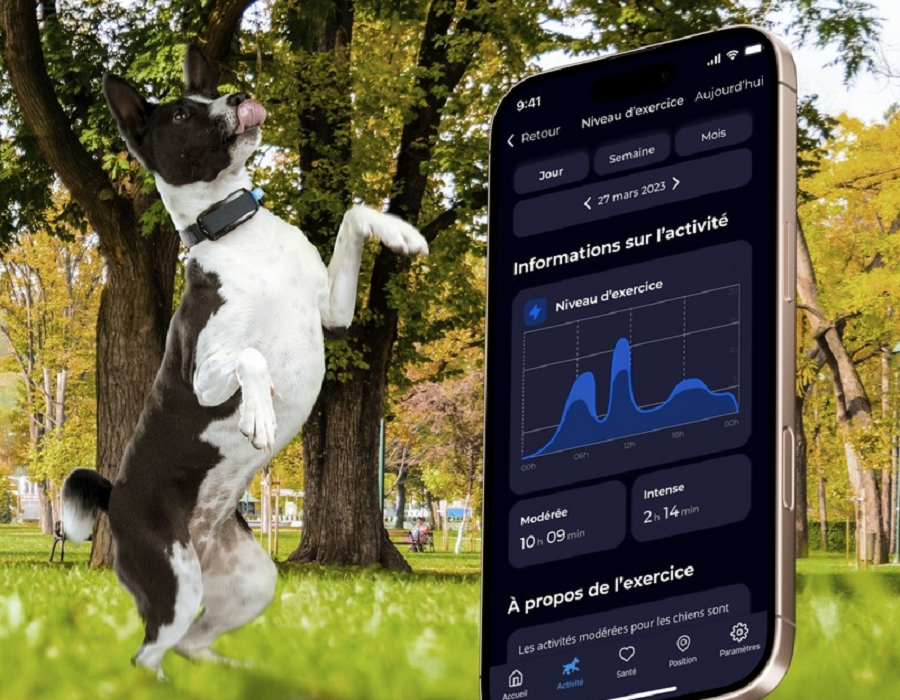 Invoxia lance le Biotracker GPS, son nouveau traceur santé pour animaux