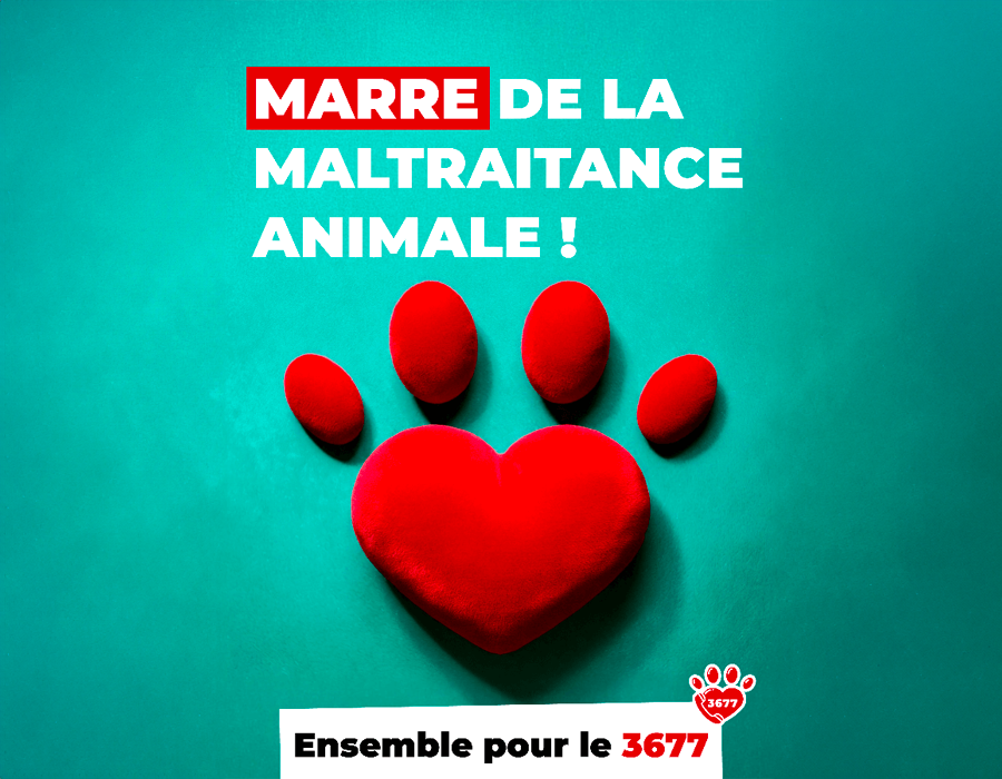 Les associations doivent-elles raisonner comme des entreprises ?